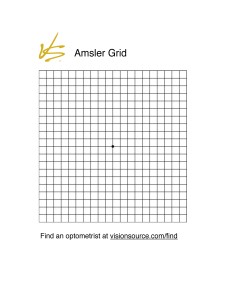 vs_amsler_grid